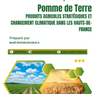 ble-mais-et-pomme-de-terre-hauts-de-france