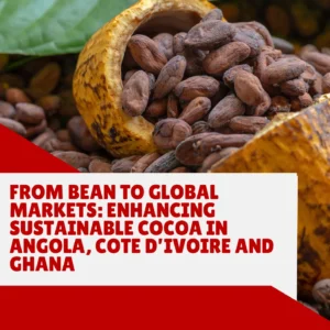 cocoa-angola-cote-d-ivoire-ghana