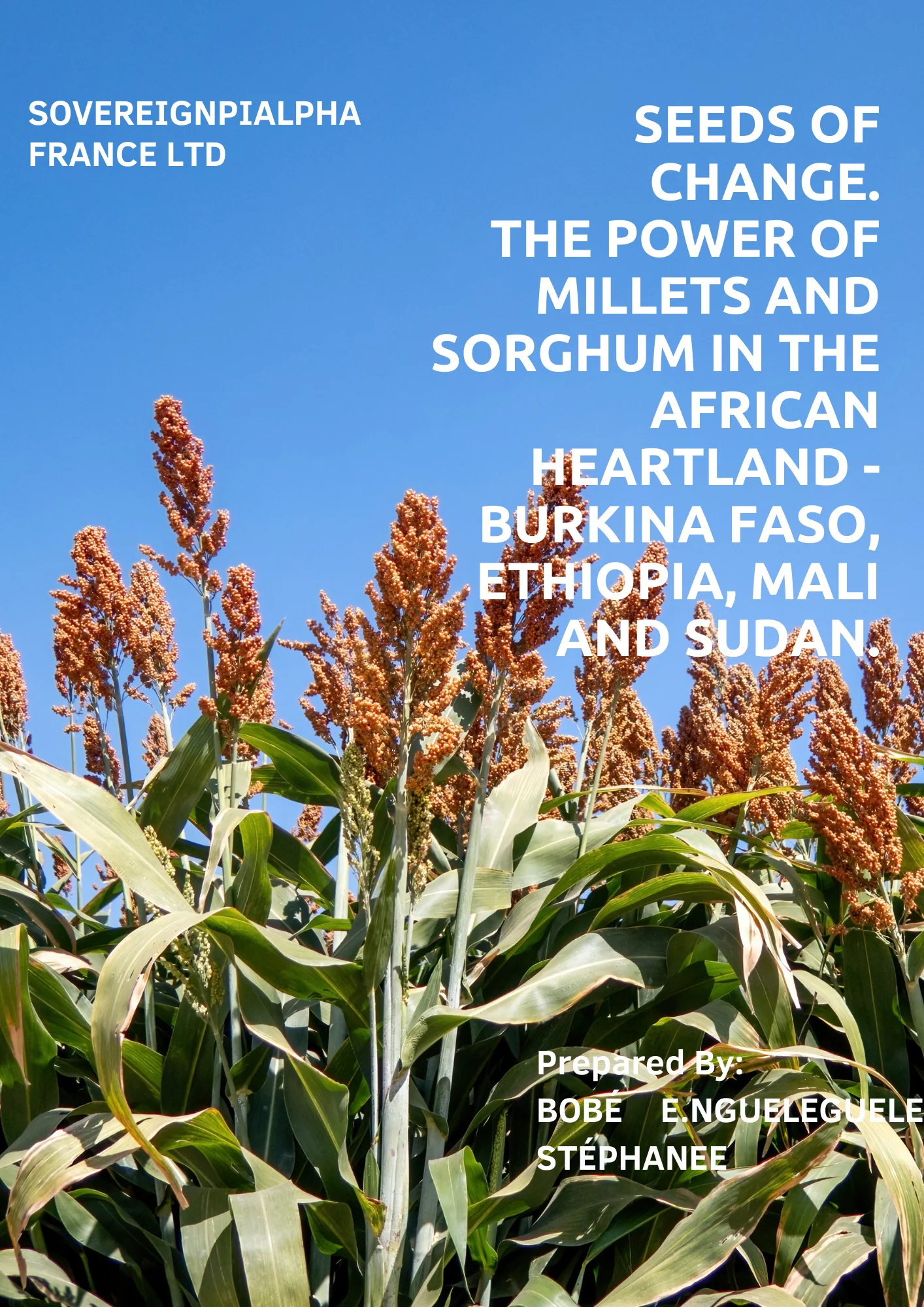 Seeds of change. The power of millets and sorghum in the African heartland – Burkina Faso, Ethiopia, Mali and Sudan