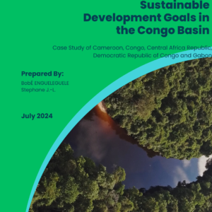 Forests Dynamics and Sustainable Development Goals in the Congo Basin. Case Study of Cameroon, Congo, Central Africa Republic, Democratic Republic of Congo and Gabon