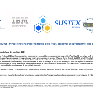 Cameroun 2025 : Perspectives macroéconomiques et de crédit, et analyse des programmes des candidats